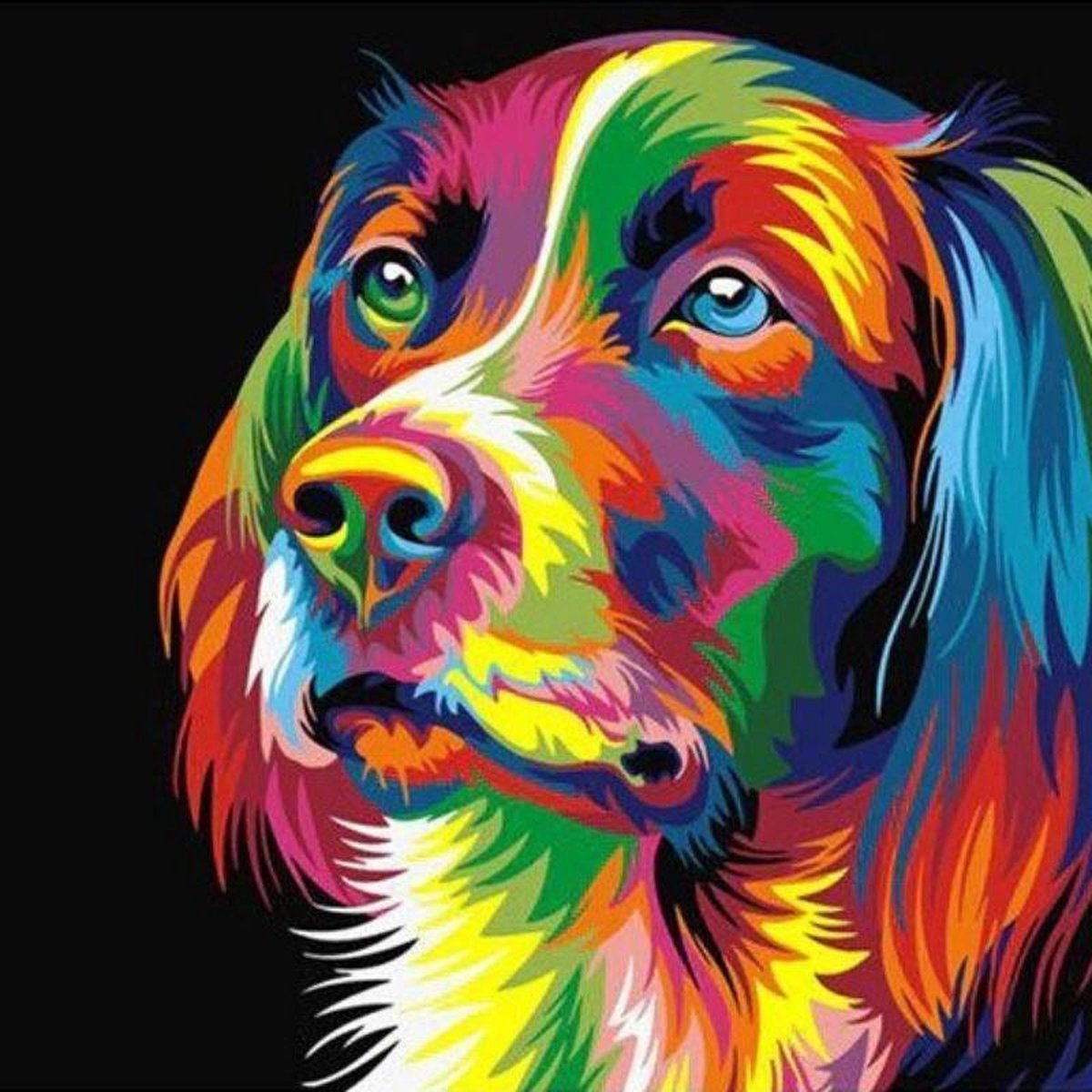 Schilderen op Nummer | Labrador - 60x75cm - Exclusief Lijst (36 kleurtjes)